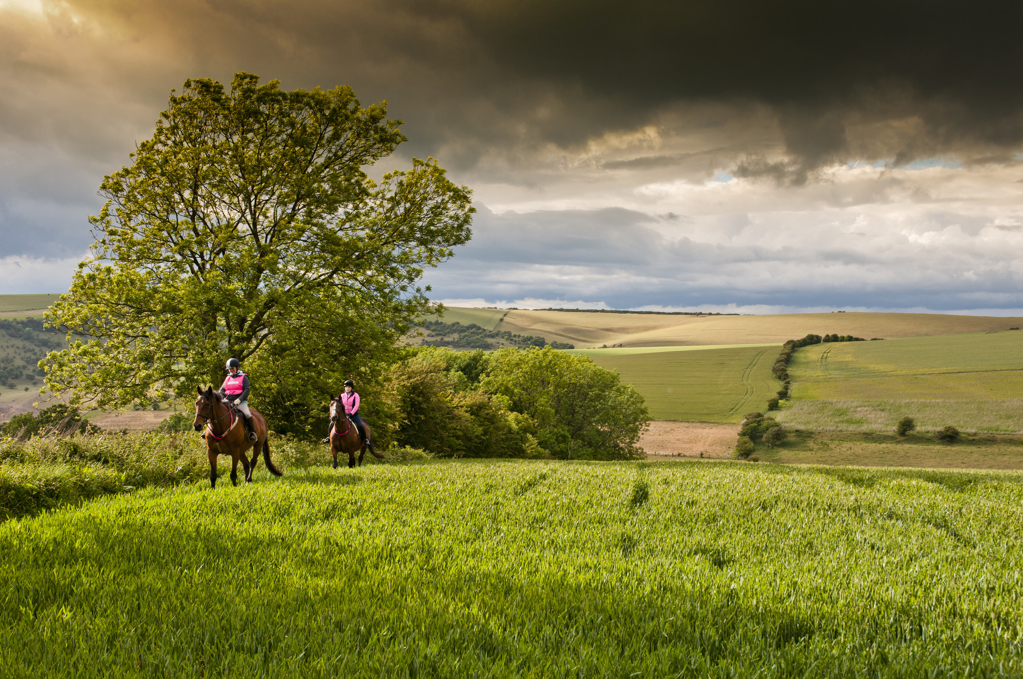 South Downs