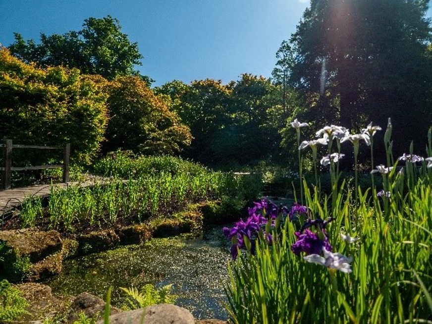 Director of Wakehurst, Susan Raikes